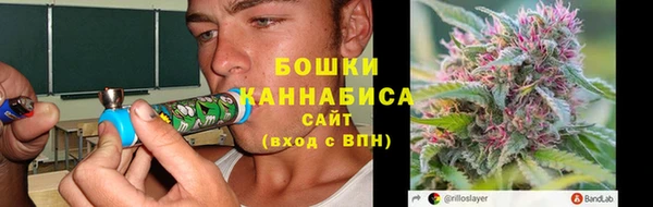 эйфоретик Вяземский